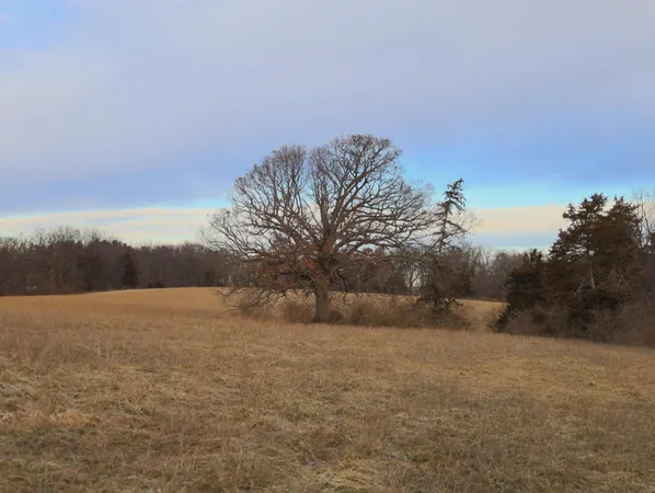 $275,000 | 0 North Mountain Lane, Freeport, IL 61032