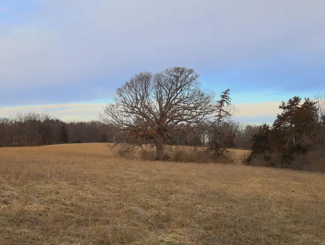 $315,000 | 0 North Mountain Lane, Freeport, IL 61032