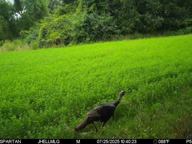 $315,000 | 0 North Mountain Lane, Freeport, IL 61032