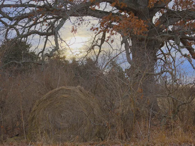 $315,000 | 0 North Mountain Lane, Freeport, IL 61032