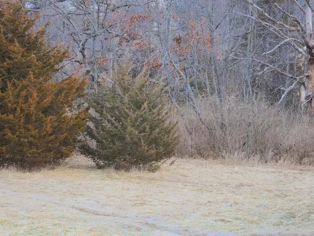 $315,000 | 0 North Mountain Lane, Freeport, IL 61032