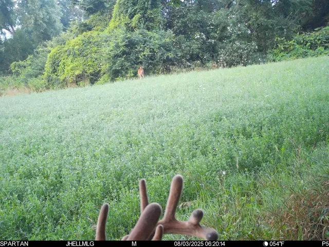 $315,000 | 0 North Mountain Lane, Freeport, IL 61032