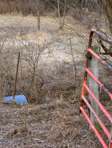 $315,000 | 0 North Mountain Lane, Freeport, IL 61032