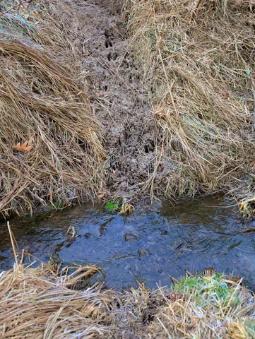 $315,000 | 0 North Mountain Lane, Freeport, IL 61032