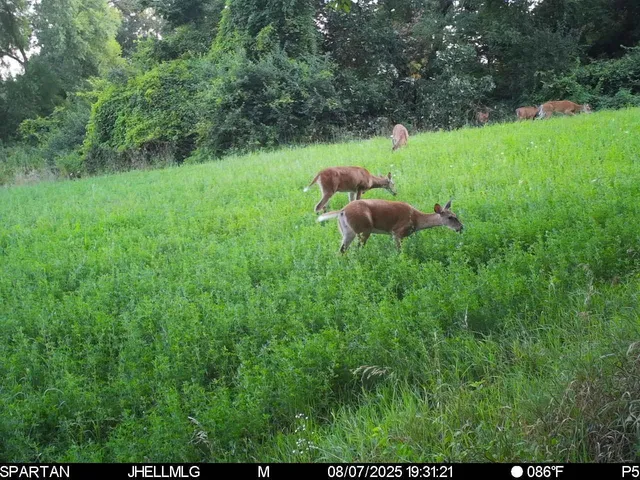 $315,000 | 0 North Mountain Lane, Freeport, IL 61032