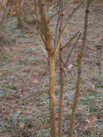 $315,000 | 0 North Mountain Lane, Freeport, IL 61032