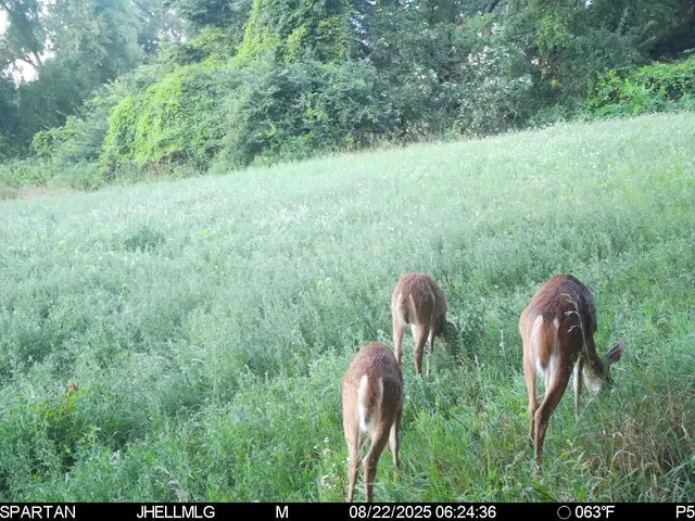 $315,000 | 0 North Mountain Lane, Freeport, IL 61032