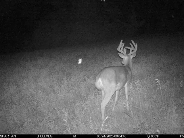 $315,000 | 0 North Mountain Lane, Freeport, IL 61032