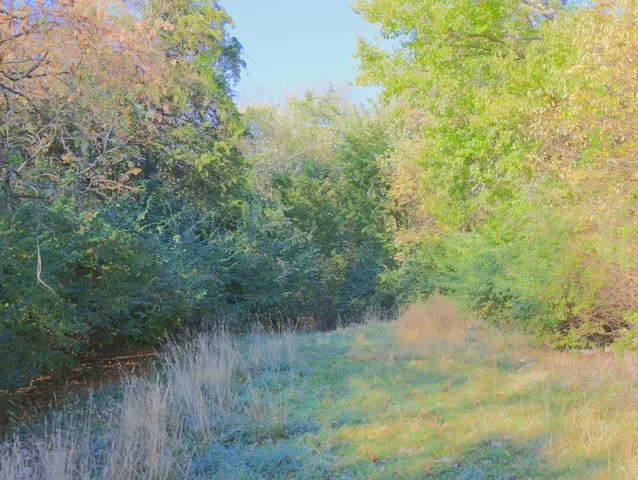 $315,000 | 0 North Mountain Lane, Freeport, IL 61032