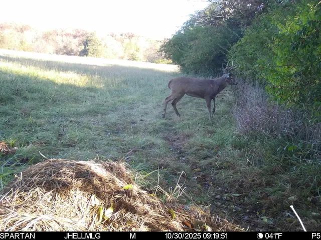 $315,000 | 0 North Mountain Lane, Freeport, IL 61032