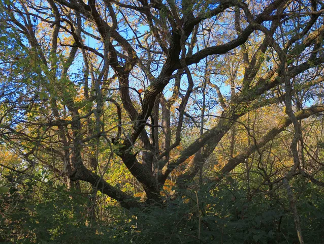 $315,000 | 0 North Mountain Lane, Freeport, IL 61032