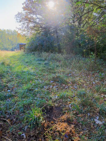 $315,000 | 0 North Mountain Lane, Freeport, IL 61032