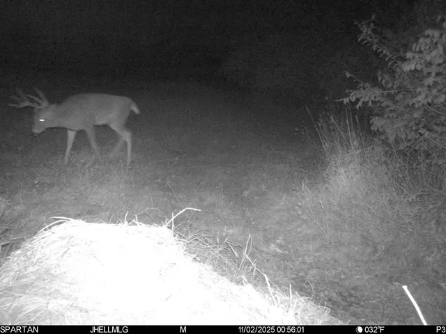 $315,000 | 0 North Mountain Lane, Freeport, IL 61032