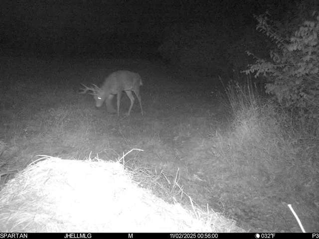 $315,000 | 0 North Mountain Lane, Freeport, IL 61032