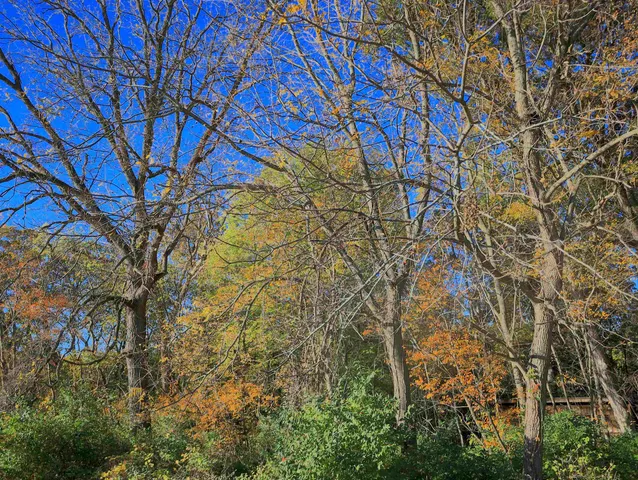 $315,000 | 0 North Mountain Lane, Freeport, IL 61032