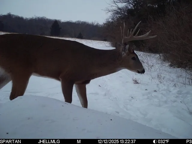 $315,000 | 0 North Mountain Lane, Freeport, IL 61032