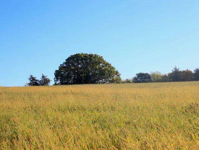 $315,000 | 0 North Mountain Lane, Freeport, IL 61032