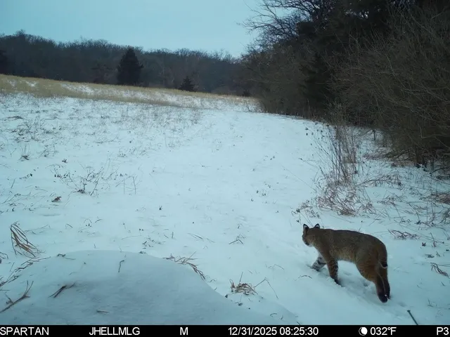 $315,000 | 0 North Mountain Lane, Freeport, IL 61032