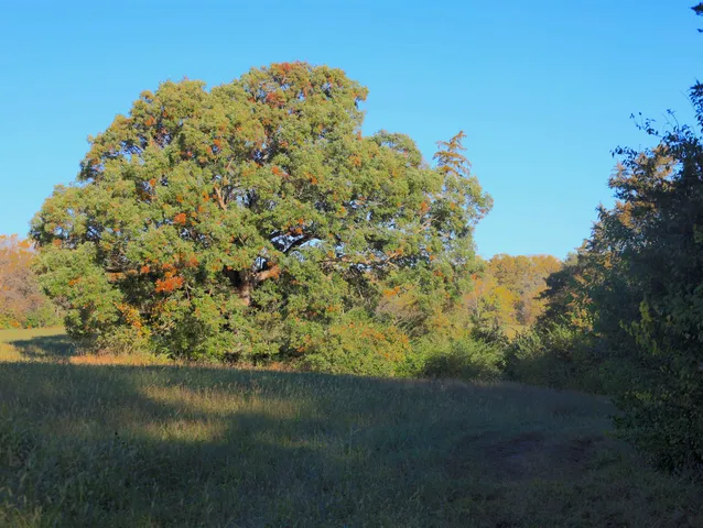 $315,000 | 0 North Mountain Lane, Freeport, IL 61032