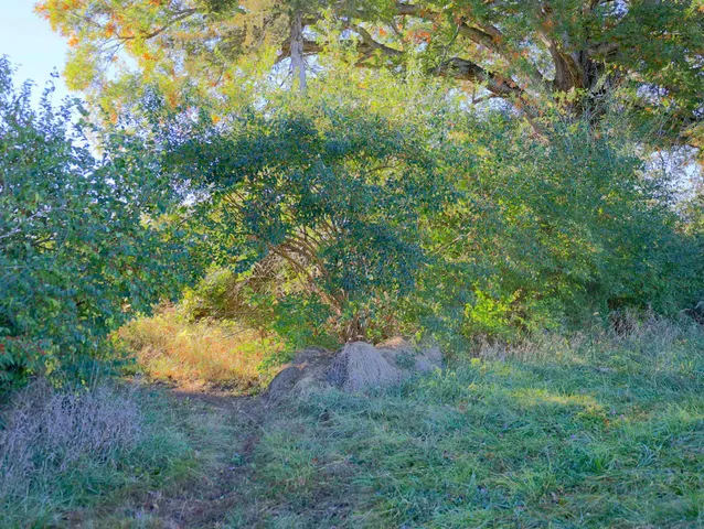 $315,000 | 0 North Mountain Lane, Freeport, IL 61032