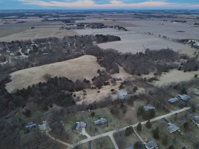 a view of a forest with a tree in back