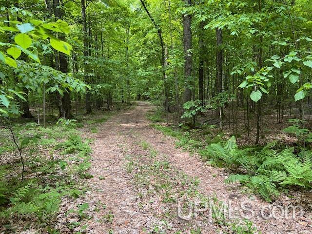 20.99-acres Old J Road Athelstane, WI 54104 - Photo 1 of 10