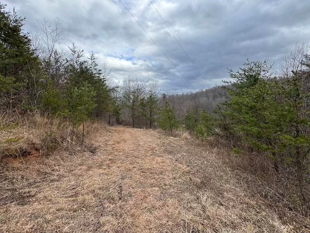 Tbd Brammer Spur Road Woolwine, VA 24185 - Photo 6 of 19 Gallery Image 6
