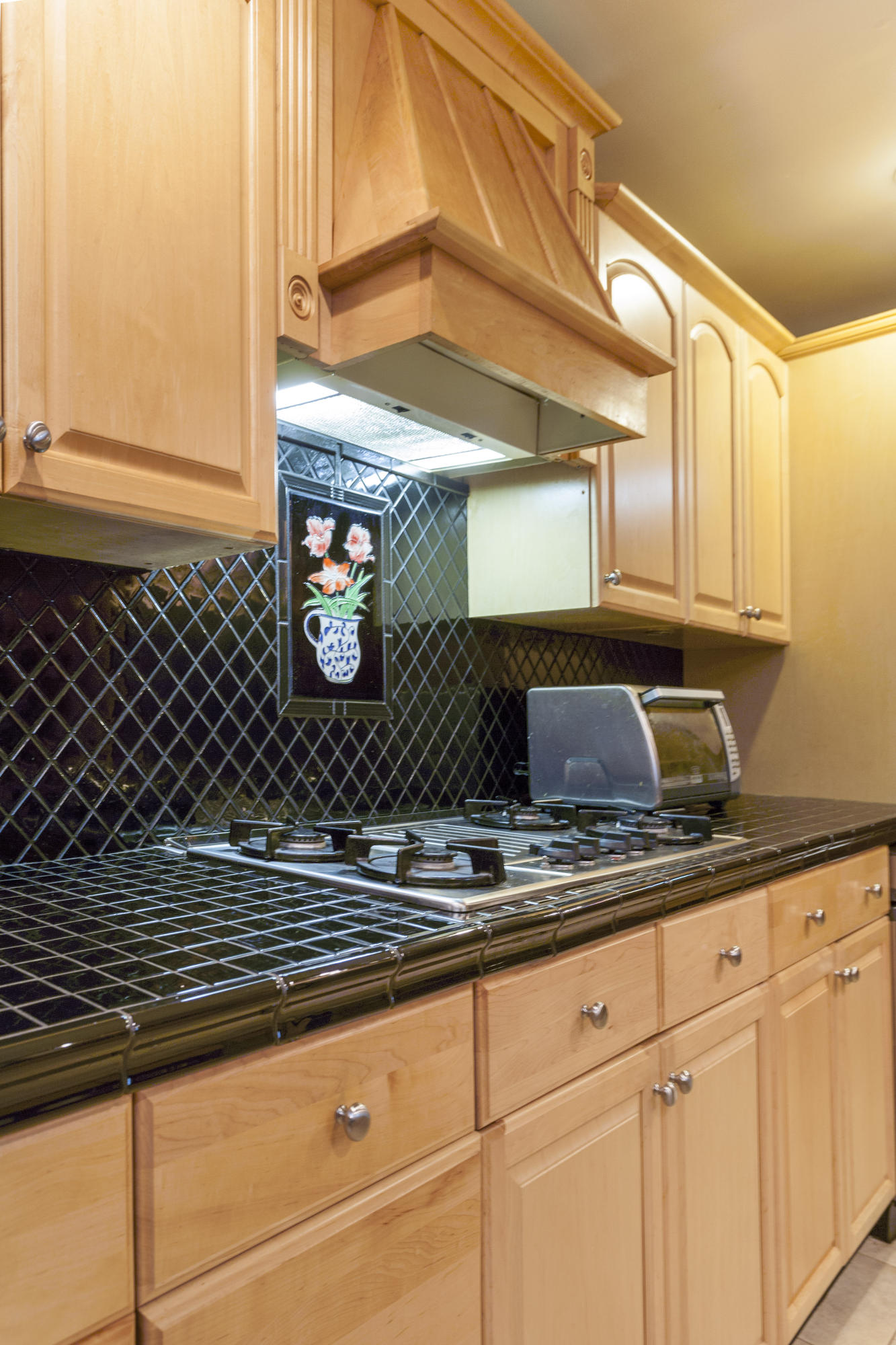2024 Rock Bluff Road Hixson, TN 37343 - Photo 6 of 40 kitchen stove detail