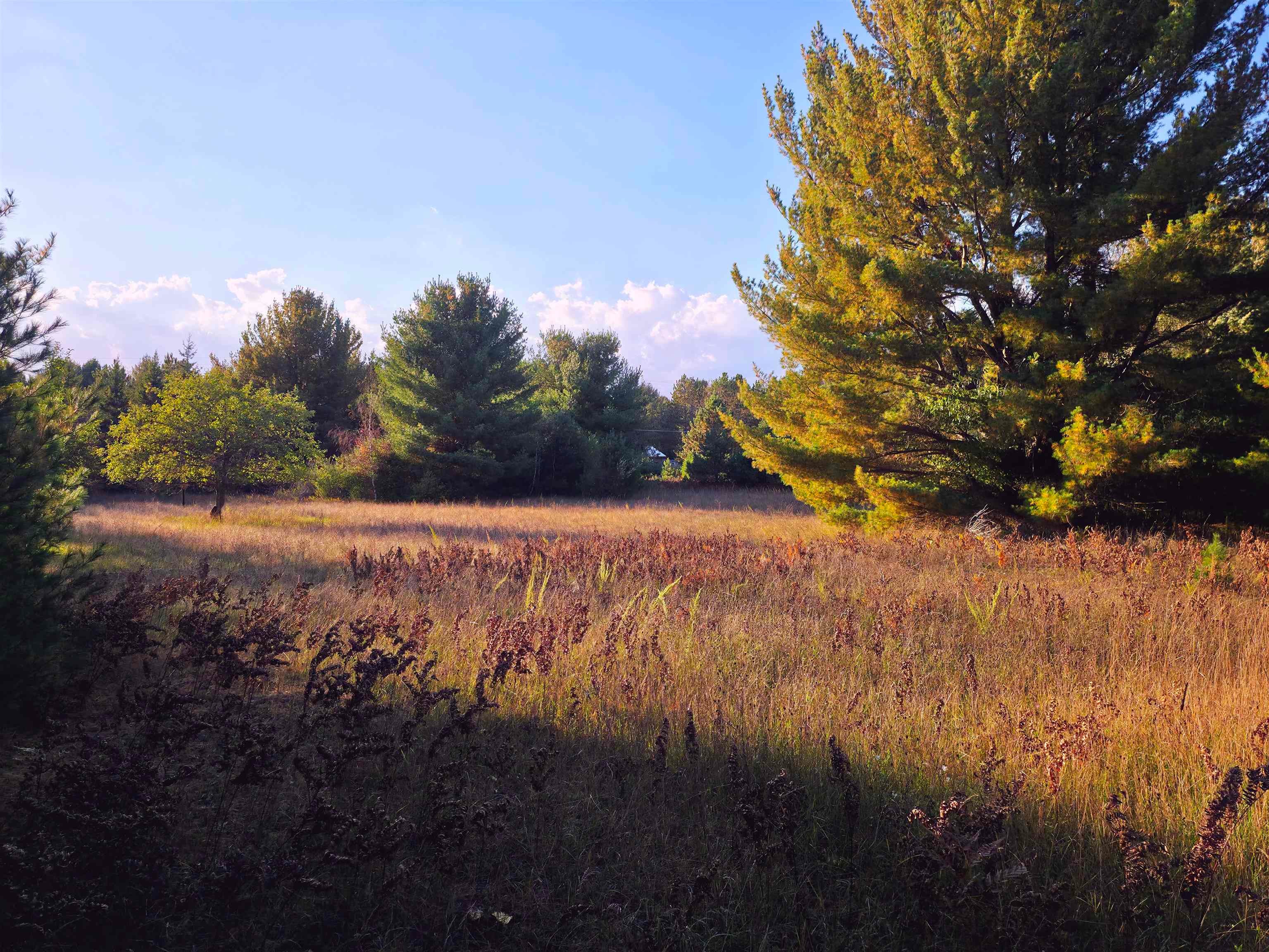 8-vl Betsie River Road Interlochen, MI 49643 - Photo 1 of 14 Gallery Image 1