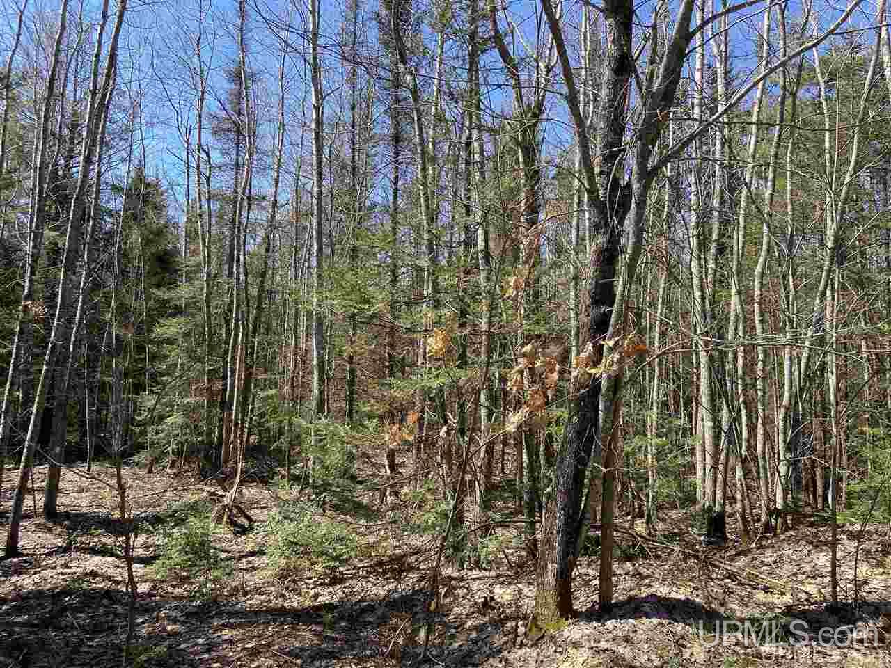 Tbd Tbd Off Powerline Gwinn, MI 49841 - Photo 19 of 28