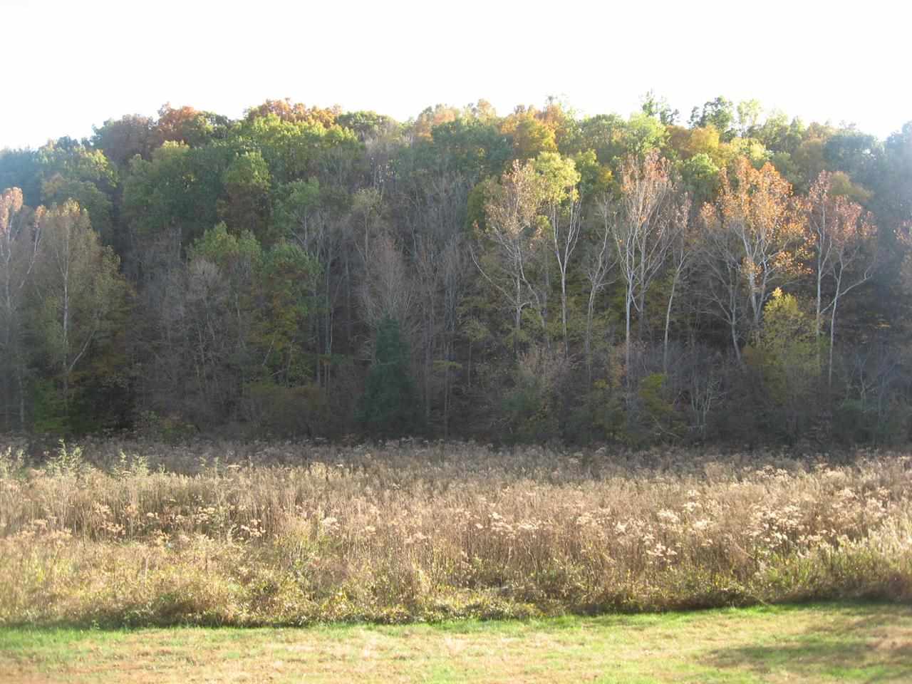 5113 West Evans Road Bloomington, IN 47403 - Photo 7 of 16