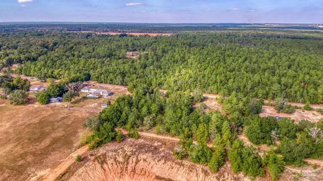 a view of a lake with a mountain in the background