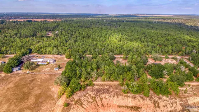 a view of a yard with an outdoor space