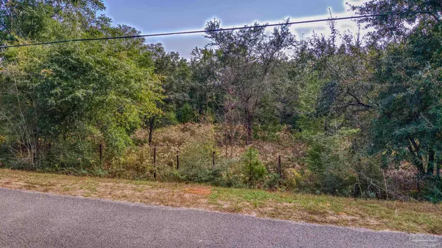 a view of a yard with a tree