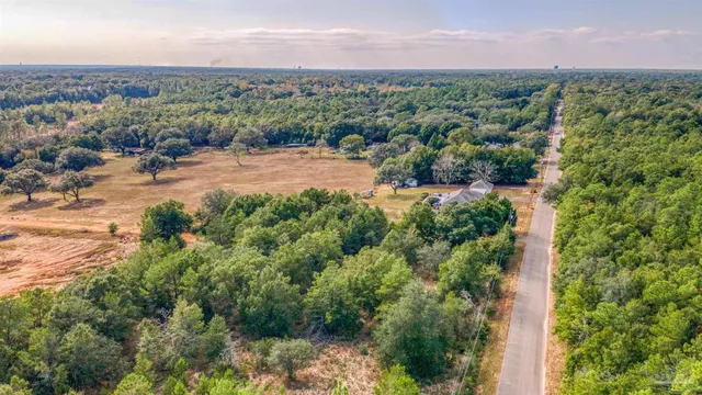 a view of a city with lush green forest