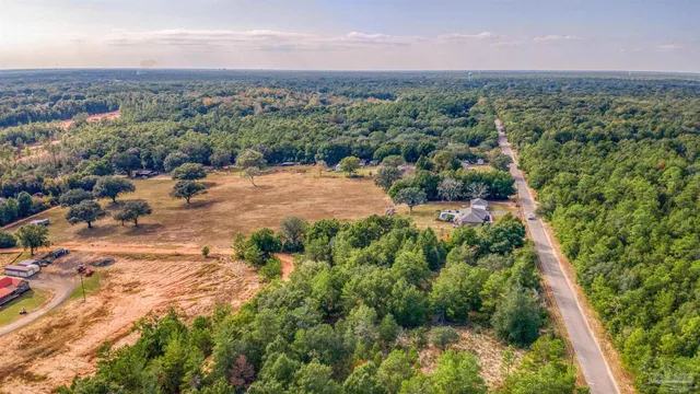 an aerial view of residential houses with outdoor space and trees