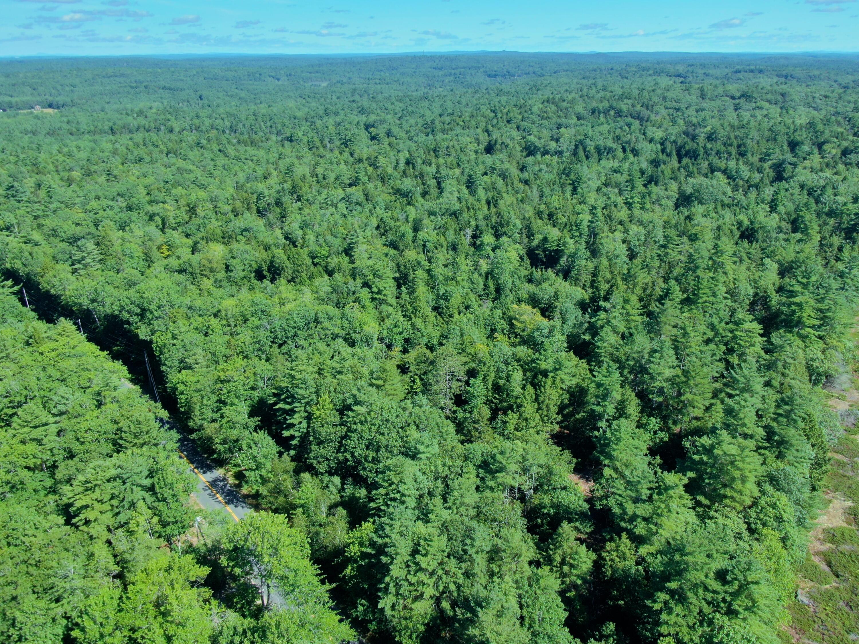 179 Foye Road Wiscasset, ME 04578 - Photo 59 of 92 15) Montsweag Woods, Foye Road, Wiscasse