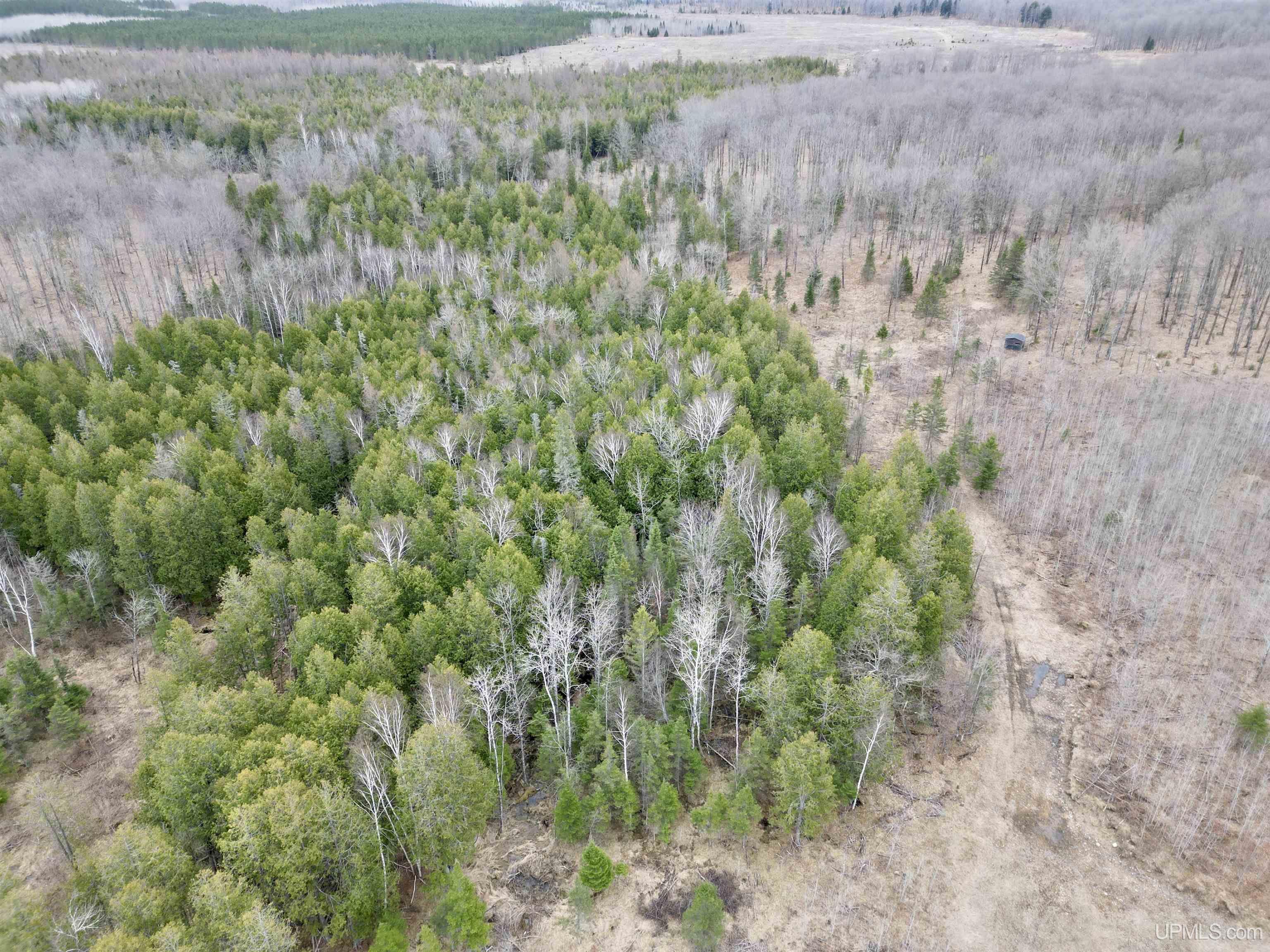 Tbd North Gaber Rd H Road Perronville, MI 49873 - Photo 8 of 14