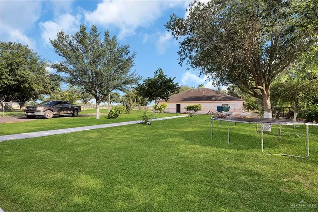 a view of a park with large trees