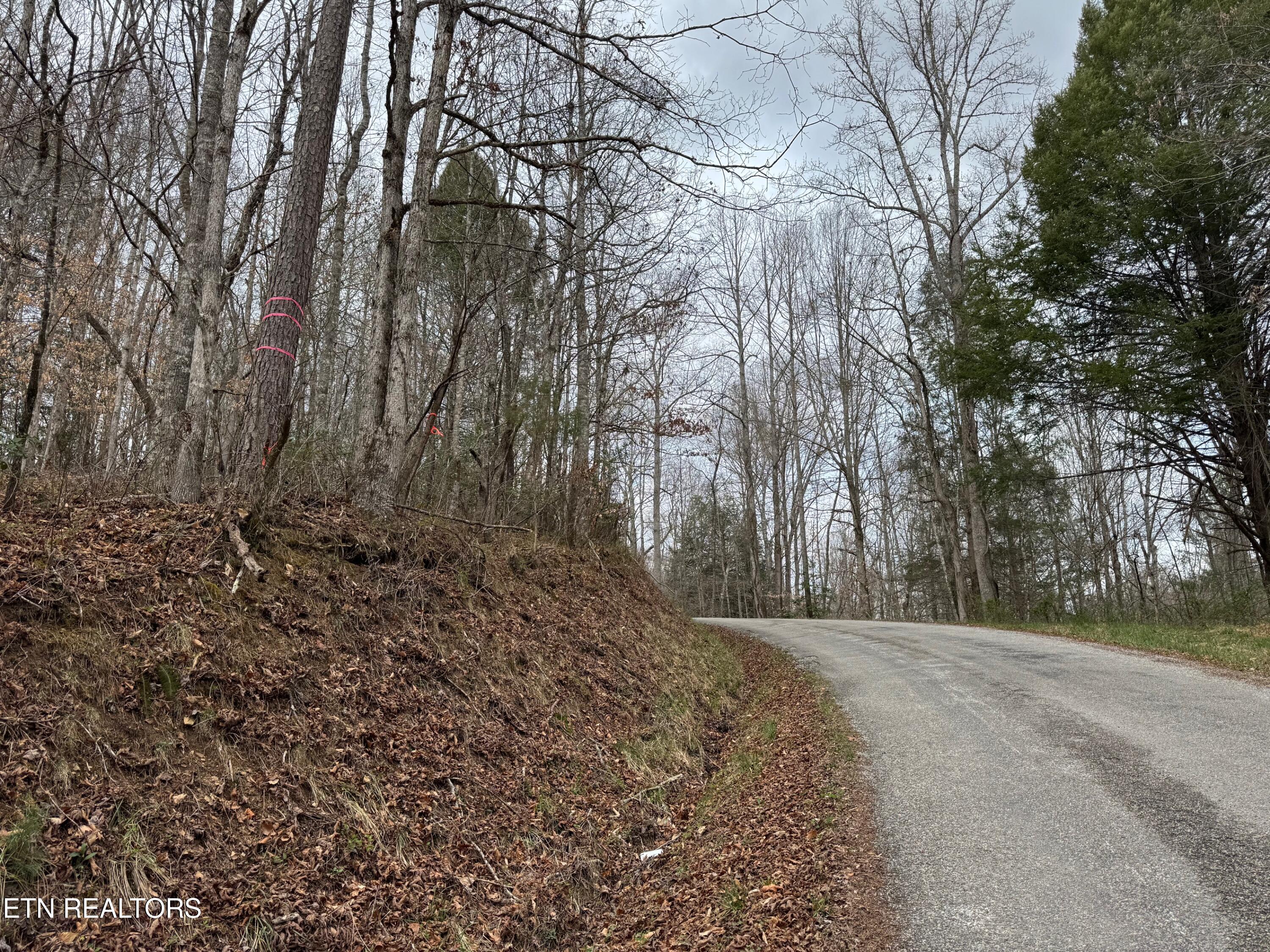 Honey Creek Loop Road Allardt, TN 38504 - Photo 3 of 11 honey creek