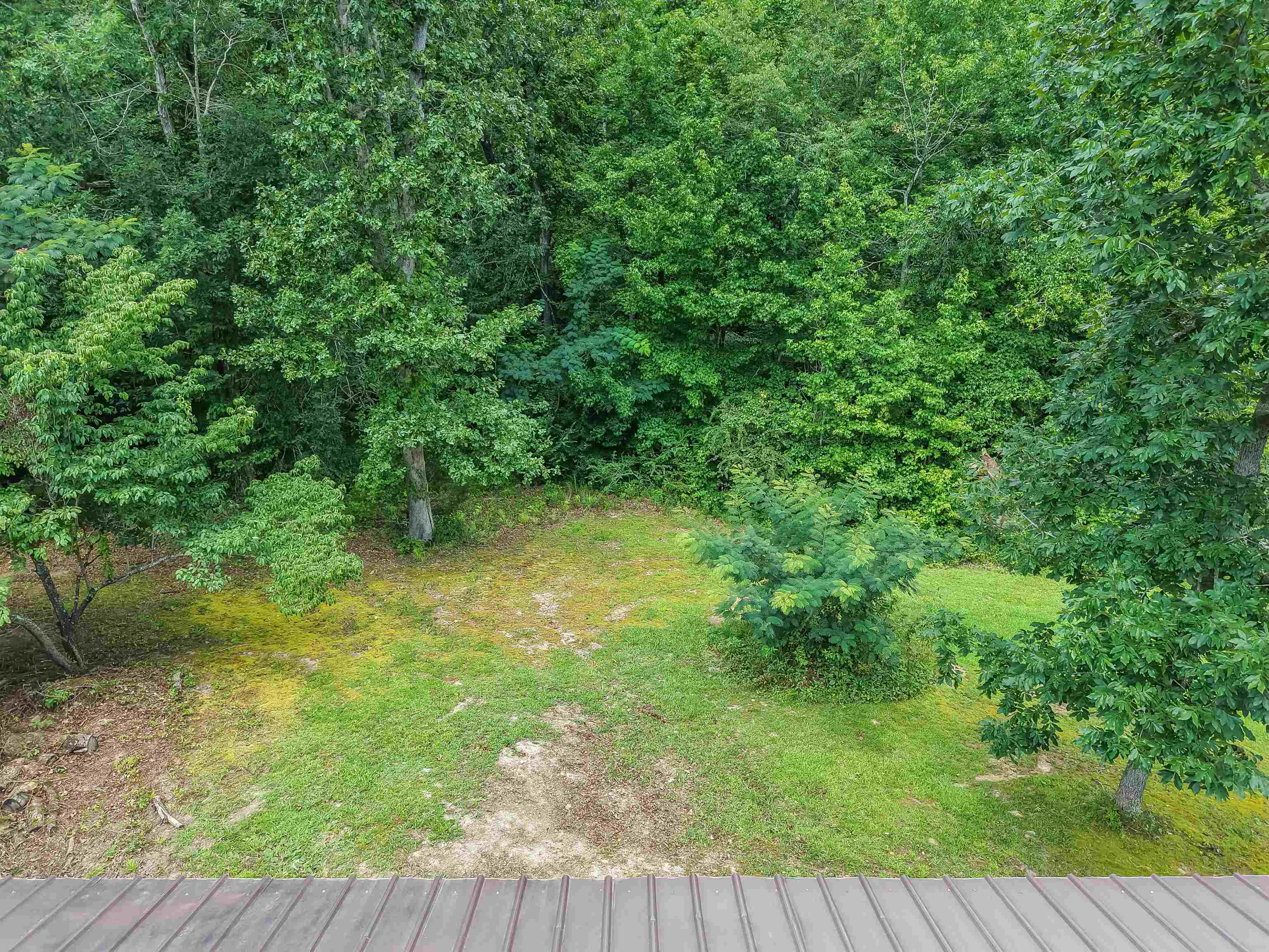 2380 Dunaway Road Selmer, TN 38375 - Photo 35 of 39 Expansive wooded backdrop frames a sloped, grassy area