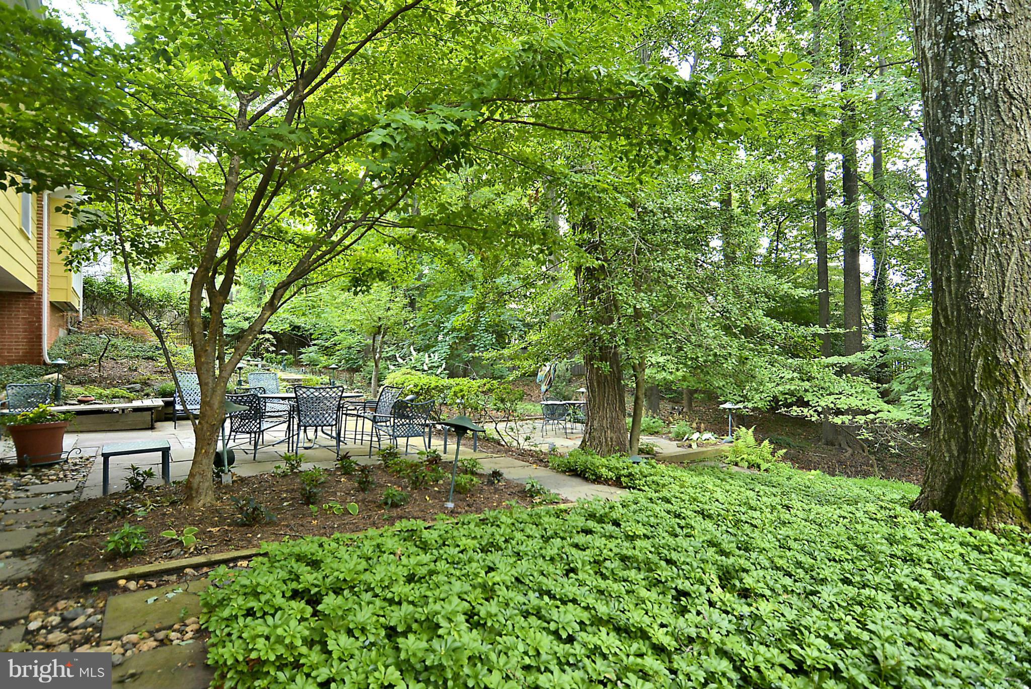 508 Hermleigh Road Silver Spring, MD 20902 - Photo 29 of 30 View from Back