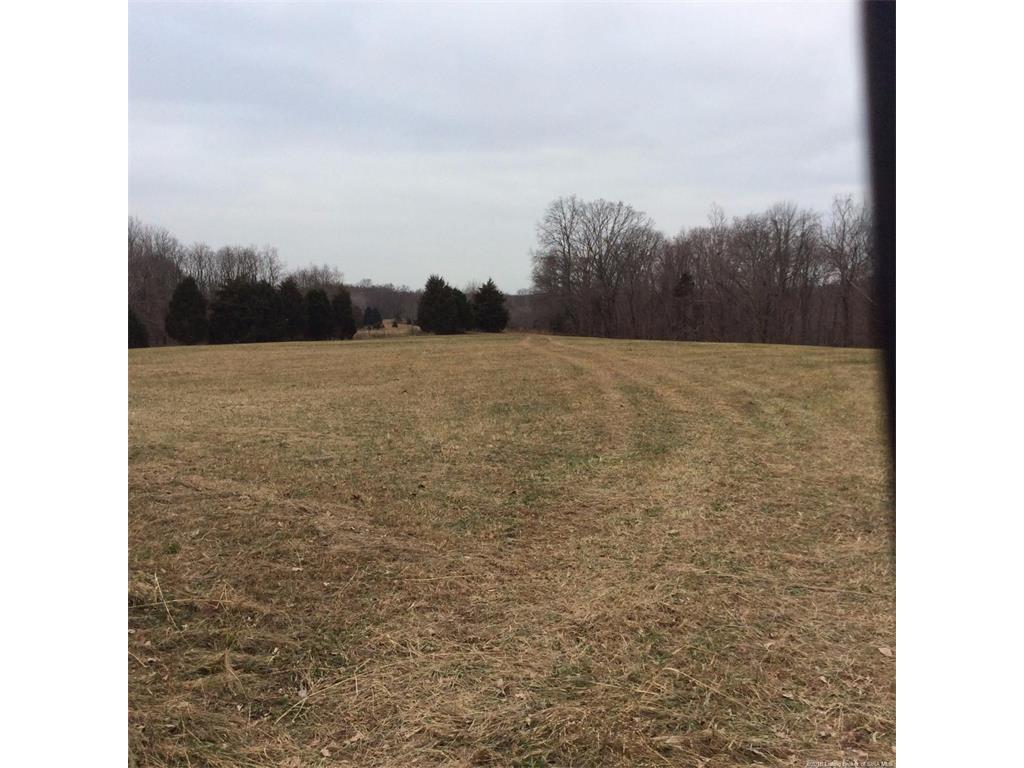 0 West Christmas Tree Road Campbellsburg, IN 47108 - Photo 6 of 7 Gallery Image 6