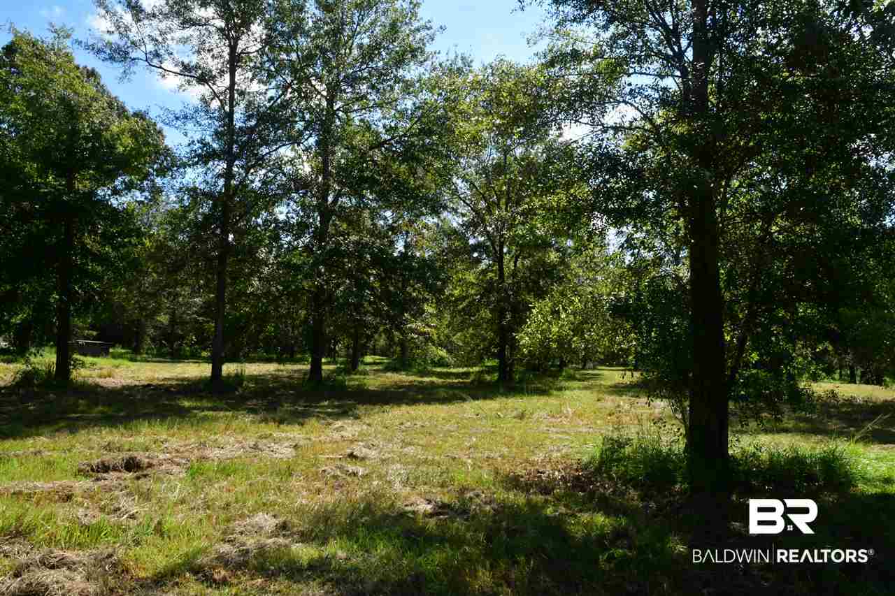 1341 Radcliff Road Creola, AL 36525 - Photo 3 of 21