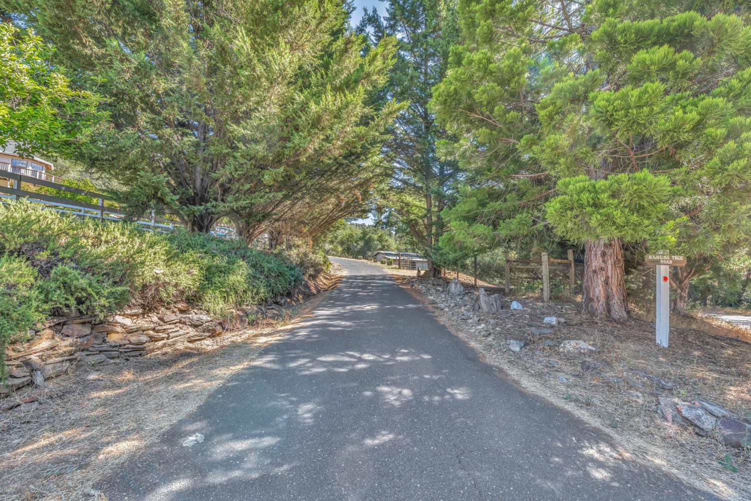 1510 Hanging Tree Road Murphys, CA 95247 - Photo 21 of 88