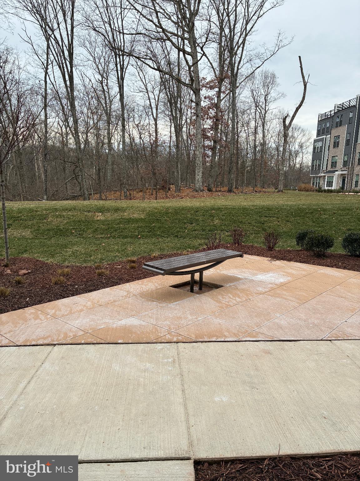 20823 Cloongee Terrace Sterling, VA 20166 - Photo 3 of 12 a view of a park with large trees