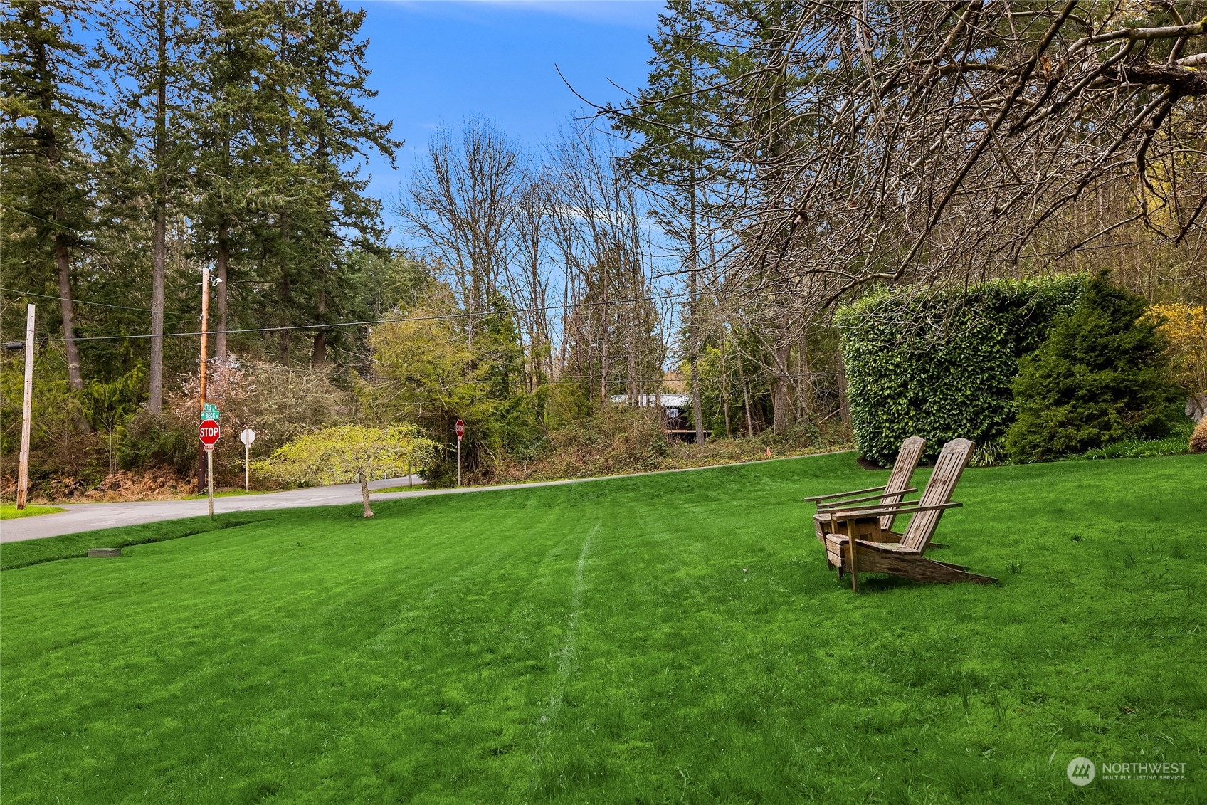 8251 Northeast Beck Road Bainbridge Island, WA 98110 - Photo 35 of 40 a view of a garden with a slide