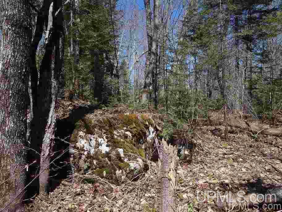 Tbd Celotex Road Michigamme, MI 49946 - Photo 11 of 25