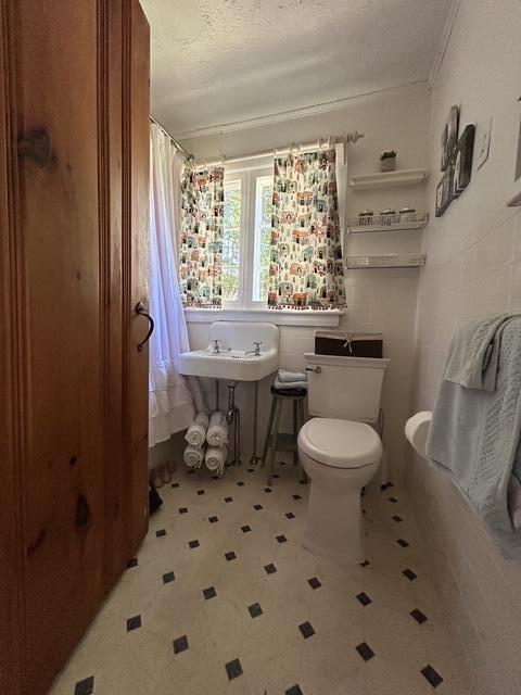 12 Carp Road Madison, ME 04950 - Photo 24 of 39 IMG_4249