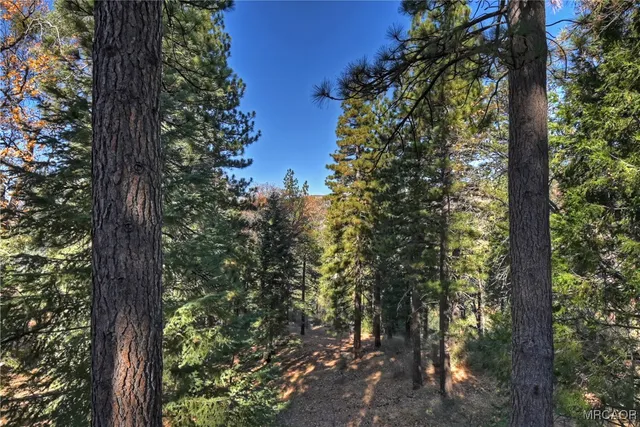 $399,000 | 30580 Live Oak Drive, Running Springs, CA 92382